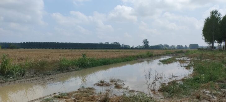 “Annata difficile” per l’agricoltura. Agricoltori Autonomi chiedono riconoscimento dei “costi di produzione”