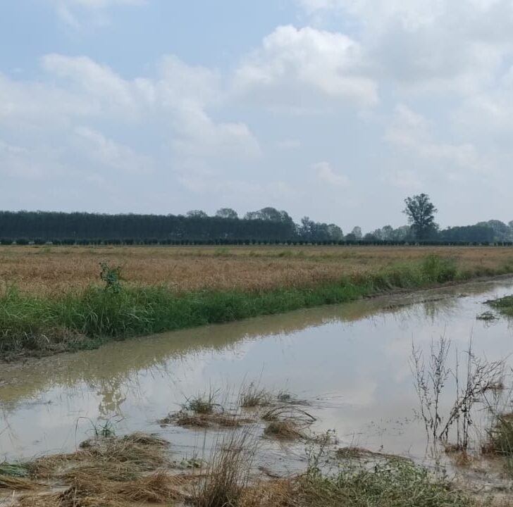 “Annata difficile” per l’agricoltura. Agricoltori Autonomi chiedono riconoscimento dei “costi di produzione”