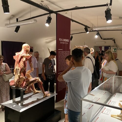 Real Bodies: a Casale oltre 250 visitatori nel primo weekend di apertura della mostra