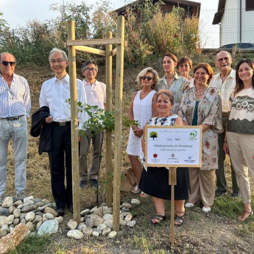 Il germoglio della resilienza cresce a Casale. Piantato l’albero sopravvissuto all’atomica