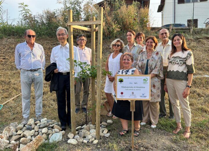 Il germoglio della resilienza cresce a Casale. Piantato l’albero sopravvissuto all’atomica