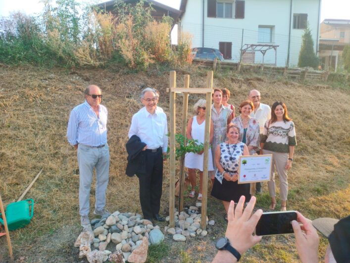 Il germoglio della resilienza cresce a Casale. Piantato l’albero sopravvissuto all’atomica