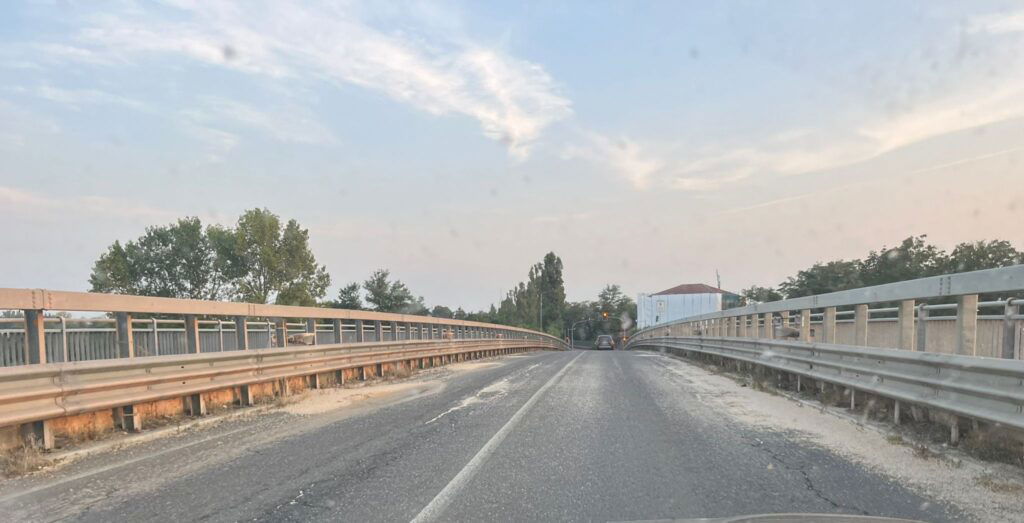 efemerotteri ponte forlanini Orti Alesasndria - Foto di Egidio Candida