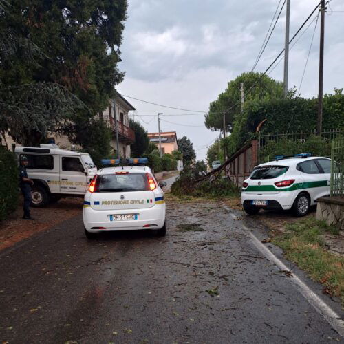 Maltempo: black-out ad Alessandria e sobborghi. Alberi e pali caduti in provincia