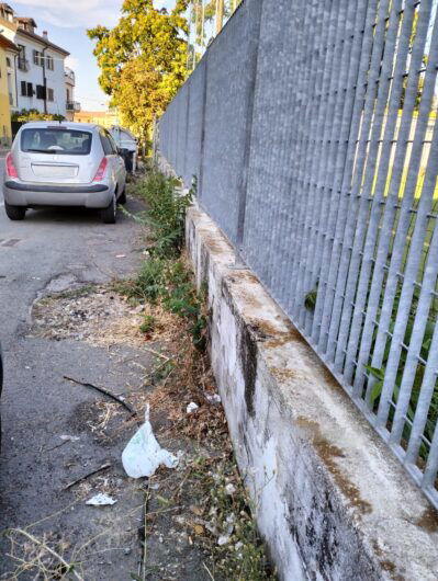 Erbacce, guano, blatte in via Vespa a Spinetta. Lega sollecita “intervento urgente e risolutivo”