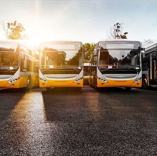 Raddoppiano le immatricolazioni di autobus in provincia