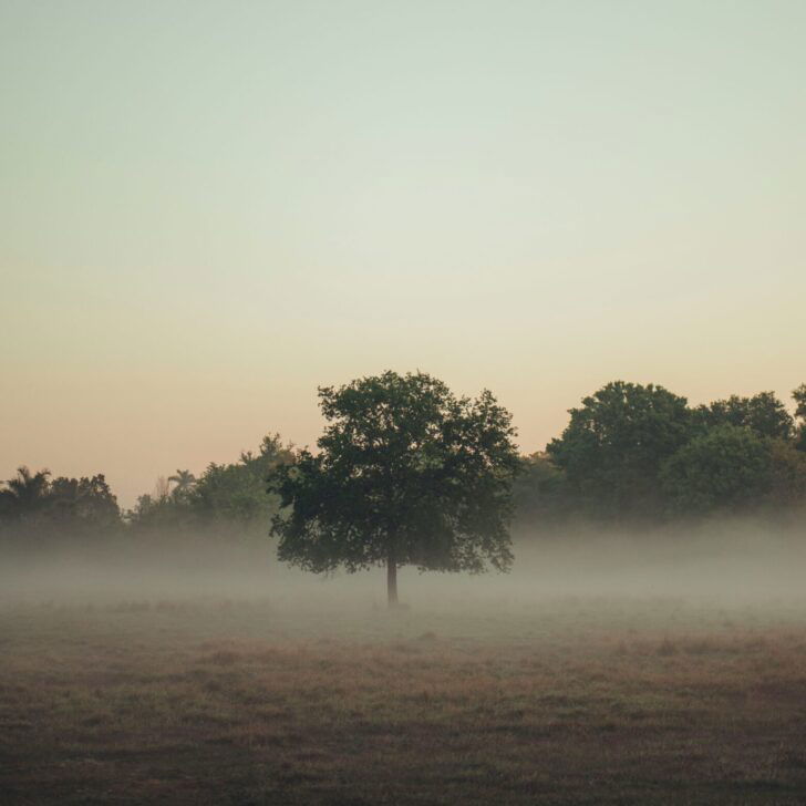 Nebbia e minime appena sopra i 17 gradi. Mattinata anomala in provincia