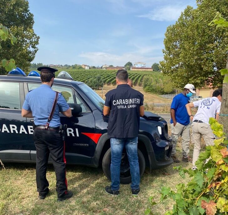 Controlli contro il caporalato in provincia di Pavia: denunciati 5 titolari di aziende