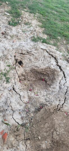 Cimitero: “Buche e macerie vicino alla tomba ma per la sepoltura richiesta di pagamento anticipato”