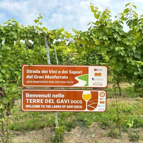 Installati i primi cartelli della Strada dei Vini e dei Sapori del Gran Monferrato