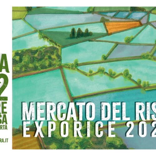 A Novara torna ExpoRice, la grande kermesse dedicata al riso