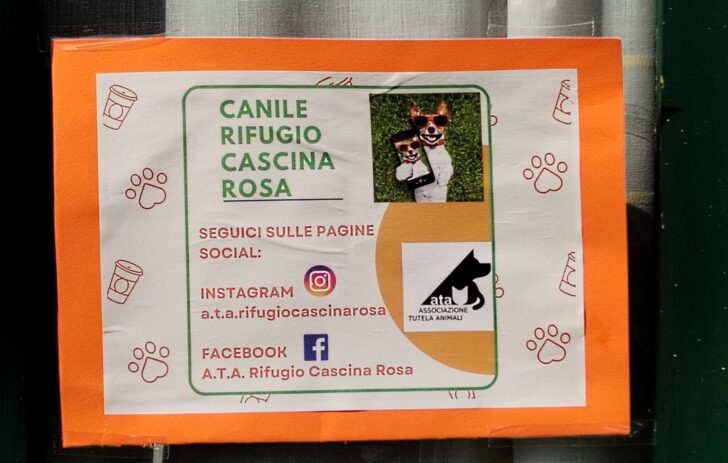 Festa a 4 zampe al canile rifugio Cascina Rosa di Valmadonna. Assessora Cazzulo: “Grazie a tutti i volontari”