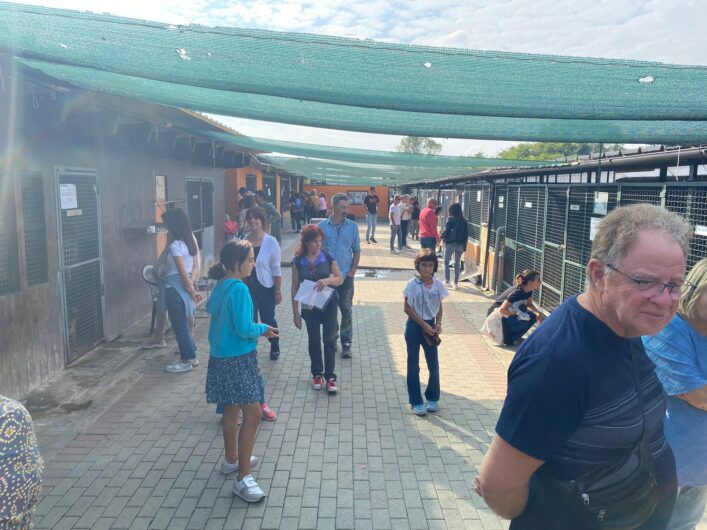 Festa a 4 zampe al canile rifugio Cascina Rosa di Valmadonna. Assessora Cazzulo: “Grazie a tutti i volontari”