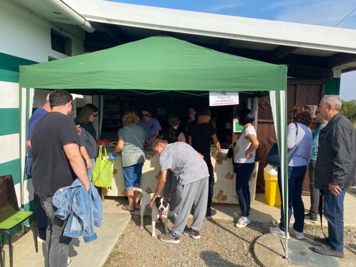 Festa a 4 zampe al canile rifugio Cascina Rosa di Valmadonna. Assessora Cazzulo: “Grazie a tutti i volontari”