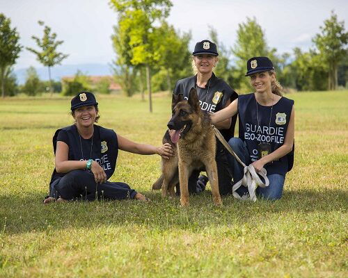 Corsi Oipa gratuiti per guardie zoofile: iscrizioni aperte fino al 20 ottobre