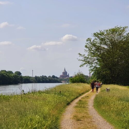 La Via Francigena tra passato e futuro: a Pavia si cammina per riscoprirla