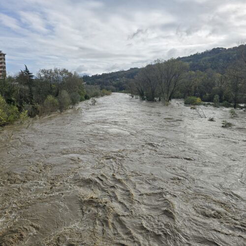 La forza del fiume Bormida ad Acqui: le immagini dal ponte