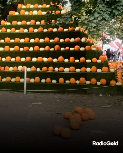 Halloween anticipato al Villaggio delle Zucche: il 26 e 27 ottobre streghe, zucche e magia