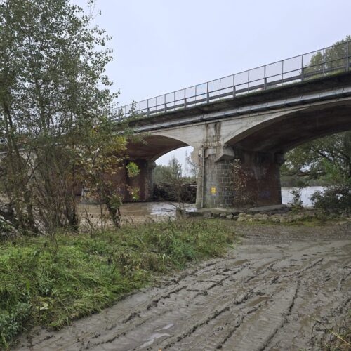 Dalle 16.30 chiuso tratto del ponte Bormida per rimuovere tronchi vicino alle arcate