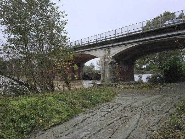 Le piogge di questi giorni creano ammasso di tronchi e rami sotto il ponte Bormida ad Alessandria