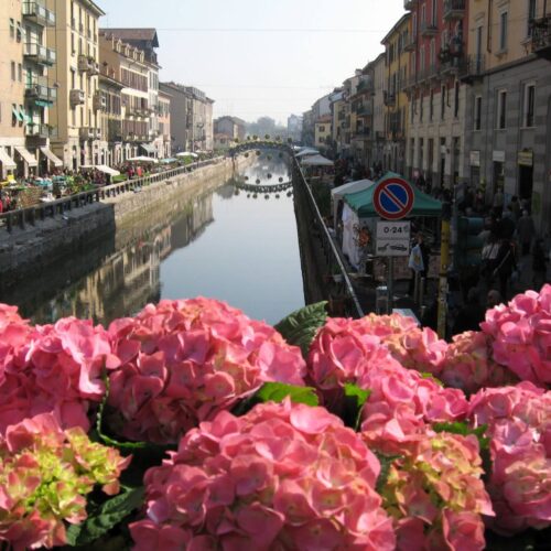 Navigli in fiore: la magia autunnale di “Fiori e Sapori sul Naviglio”