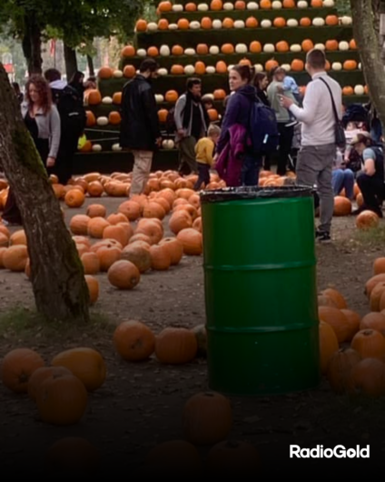 Halloween anticipato al Villaggio delle Zucche: il 26 e 27 ottobre streghe, zucche e magia