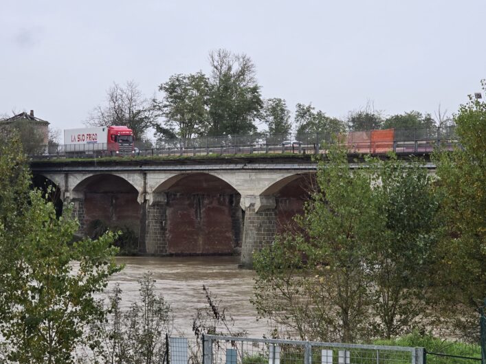 Le piogge di questi giorni creano ammasso di tronchi e rami sotto il ponte Bormida ad Alessandria