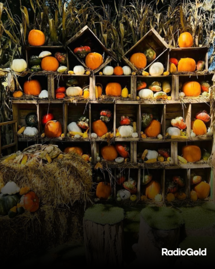 Halloween anticipato al Villaggio delle Zucche: il 26 e 27 ottobre streghe, zucche e magia