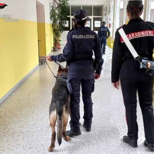 Controlli antidroga nelle scuole di Casale. In azione anche il cane Etna