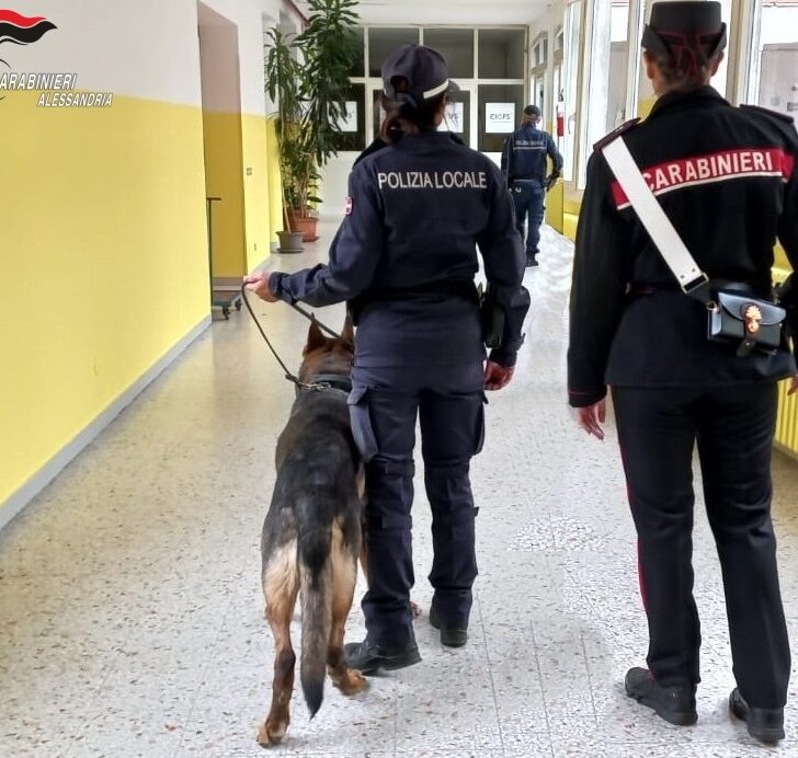 Controlli antidroga nelle scuole di Casale. In azione anche il cane Etna