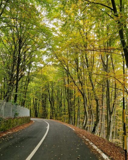 Nelle fotografie lo spettacolo del foliàge in Oltrepò Pavese