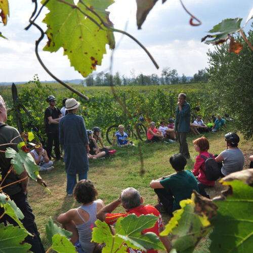 Sabato 26 ottobre a Viarigi la “Camminata magnifica”