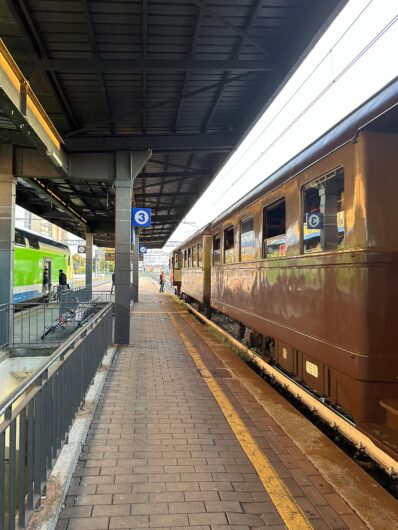 Le foto e il video della sbuffante locomotiva lungo la “Via del riso”