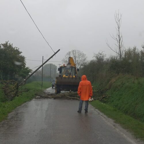 Maltempo: strade allagate e piante pericolanti