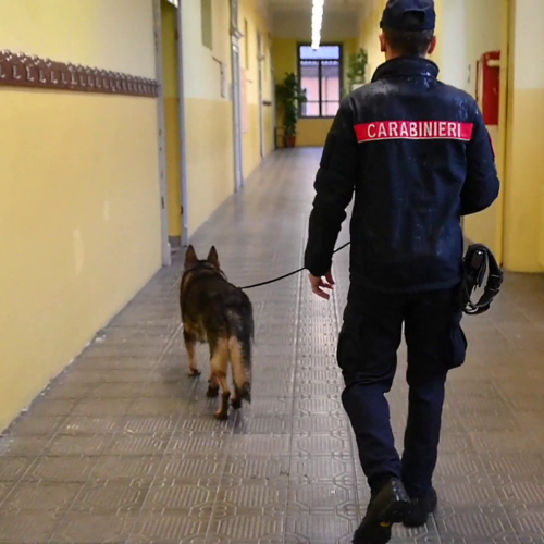 Proseguono i controlli antidroga dei Carabinieri nelle scuole