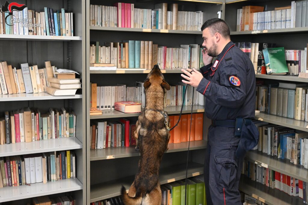 Controlli antidroga Carabinieri Novi Ligure