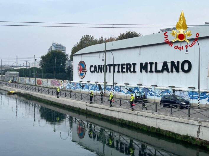 Capriolo bloccato nel Naviglio: l’intervento dei Vigili del Fuoco