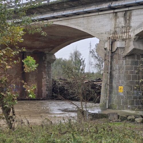 Le piogge di questi giorni creano ammasso di tronchi e rami sotto il ponte Bormida ad Alessandria