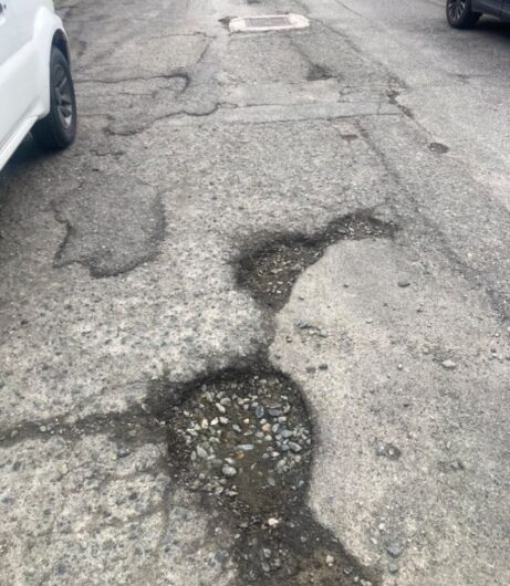 Buche ed erbacce in via Pasino ad Alessandria, una cittadina: “Situazione insostenibile”