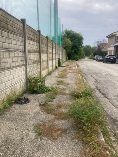 Buche ed erbacce in via Pasino ad Alessandria, una cittadina: “Situazione insostenibile”