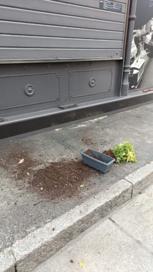 Vandali danneggiano il chiosco “Chivitos” in piazza della Libertà: “Se avete visto aiutateci”