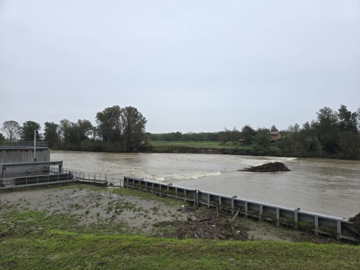 Le piogge di questi giorni creano ammasso di tronchi e rami sotto il ponte Bormida ad Alessandria