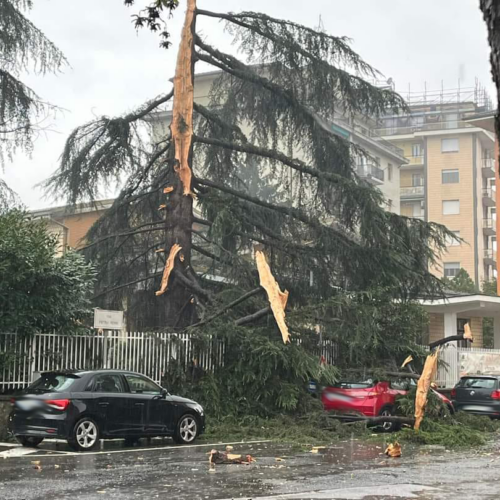 Fulmine colpisce albero a Ovada. Rami danneggiano auto parheggiate