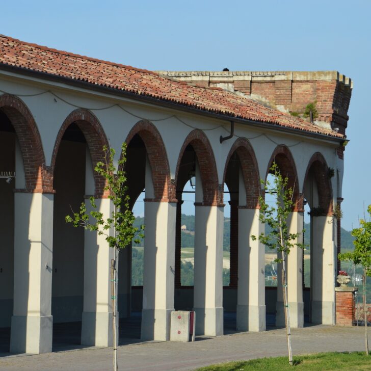 Cosa fare in provincia di Alessandria. Gli eventi di sabato 2 novembre