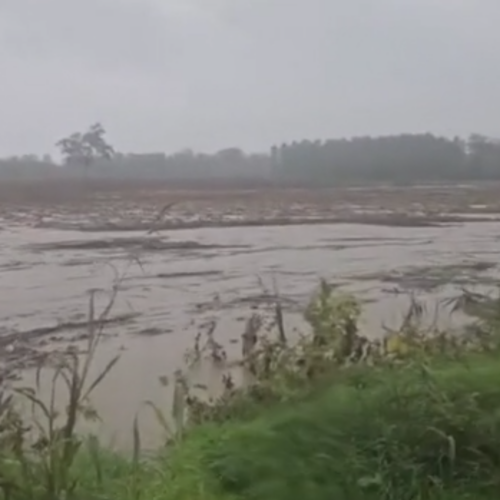 Il video dell’Orba a Predosa sulla provinciale 179