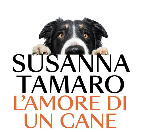 Dall’amore di un cane alla sconfitta dell’Occidente: le nuove uscite in libreria