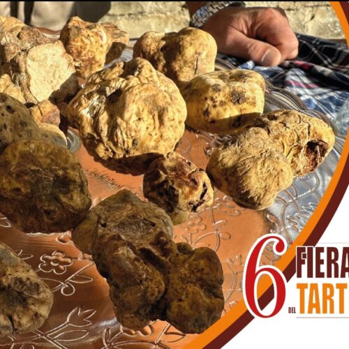 Rinviata al 3 novembre la Fiera Nazionale del Tartufo bianco a Trisobbio