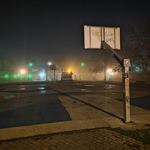 Più luci al parco Carrà di Alessandria, assessora Oneto: “Vogliamo illuminare i campi da basket e calcio”