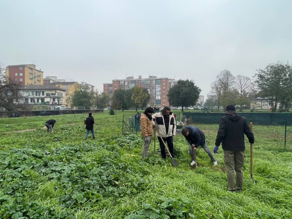 alberi piantumazione 5 stelle alessandria