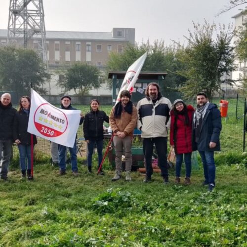 M5S pianta 5 nuovi alberi per ricordare le vittime della strada